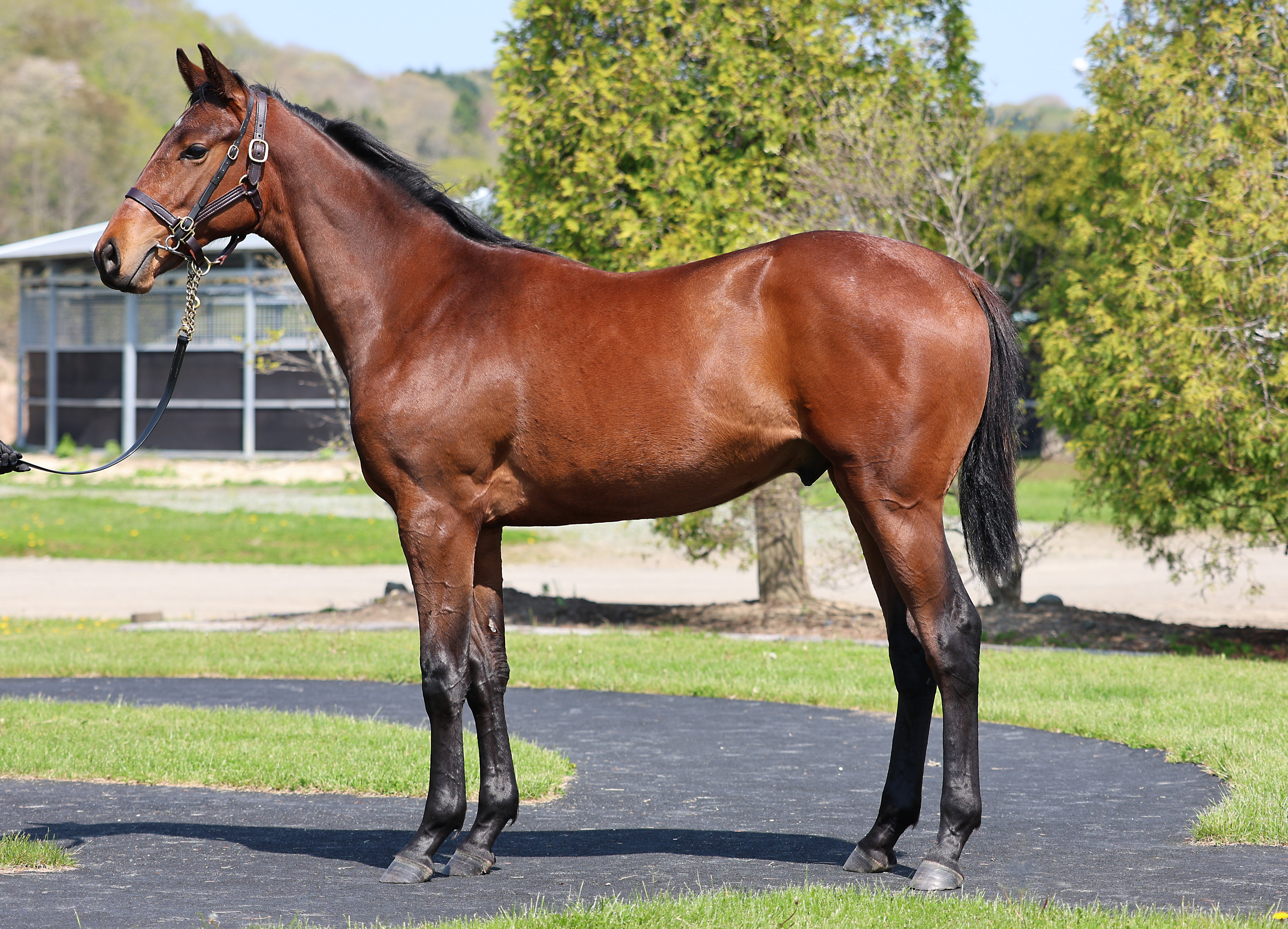 ラブローレル2024