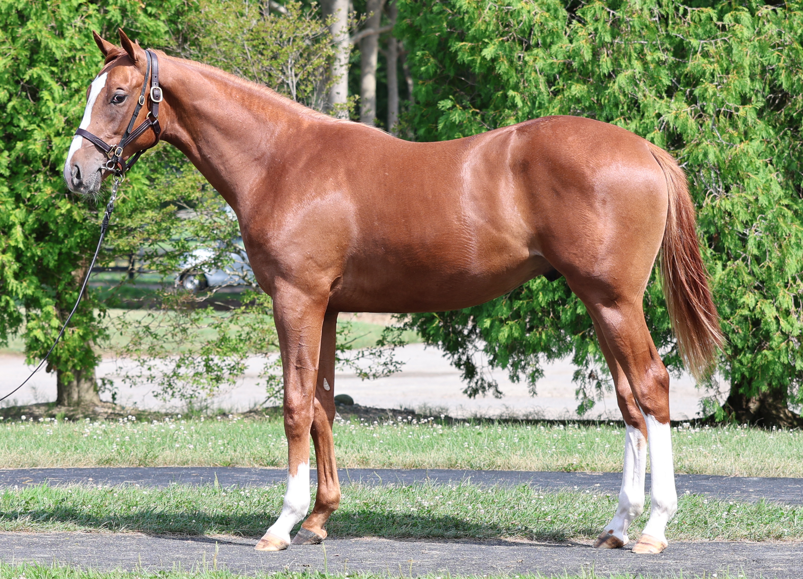 ベストベット2024