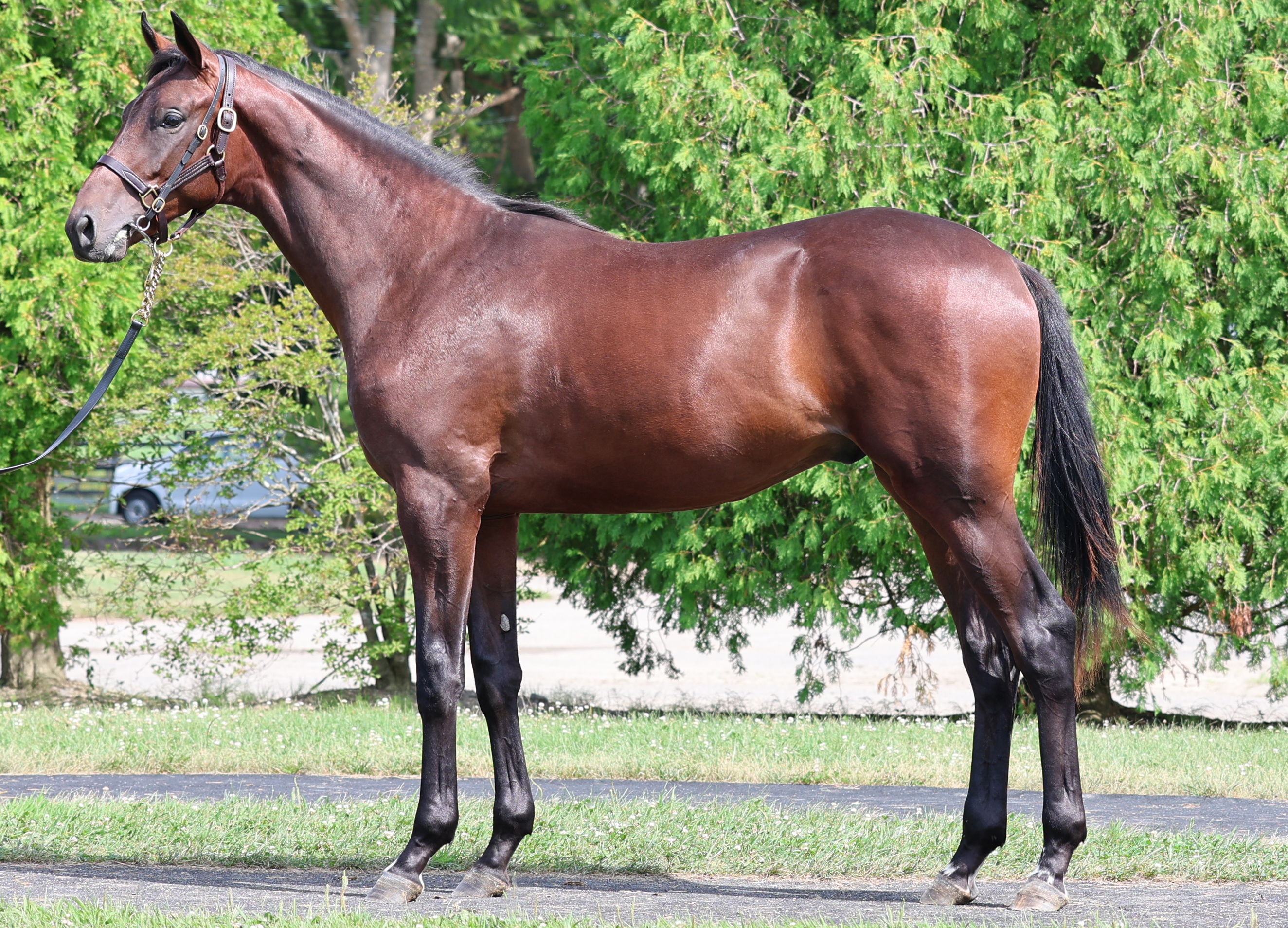 フロンサック2024