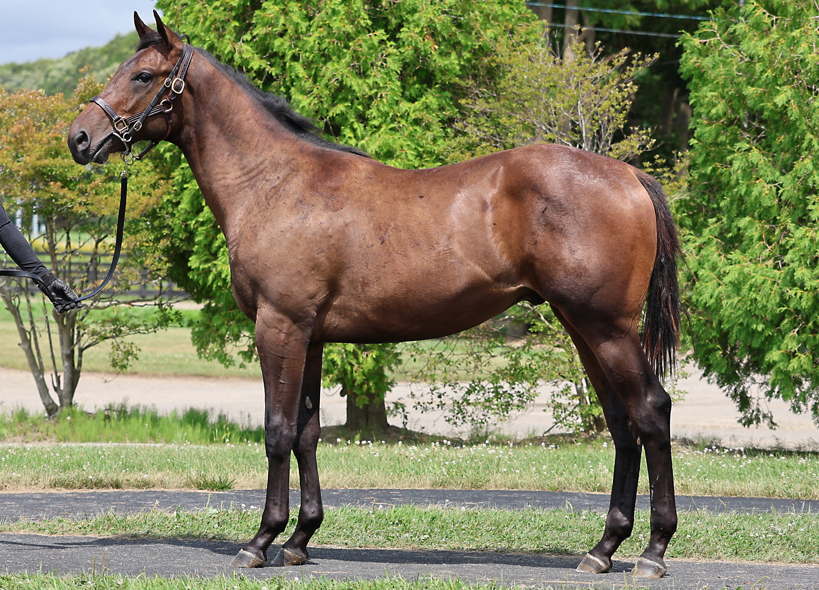 ホクセーメジャー2024