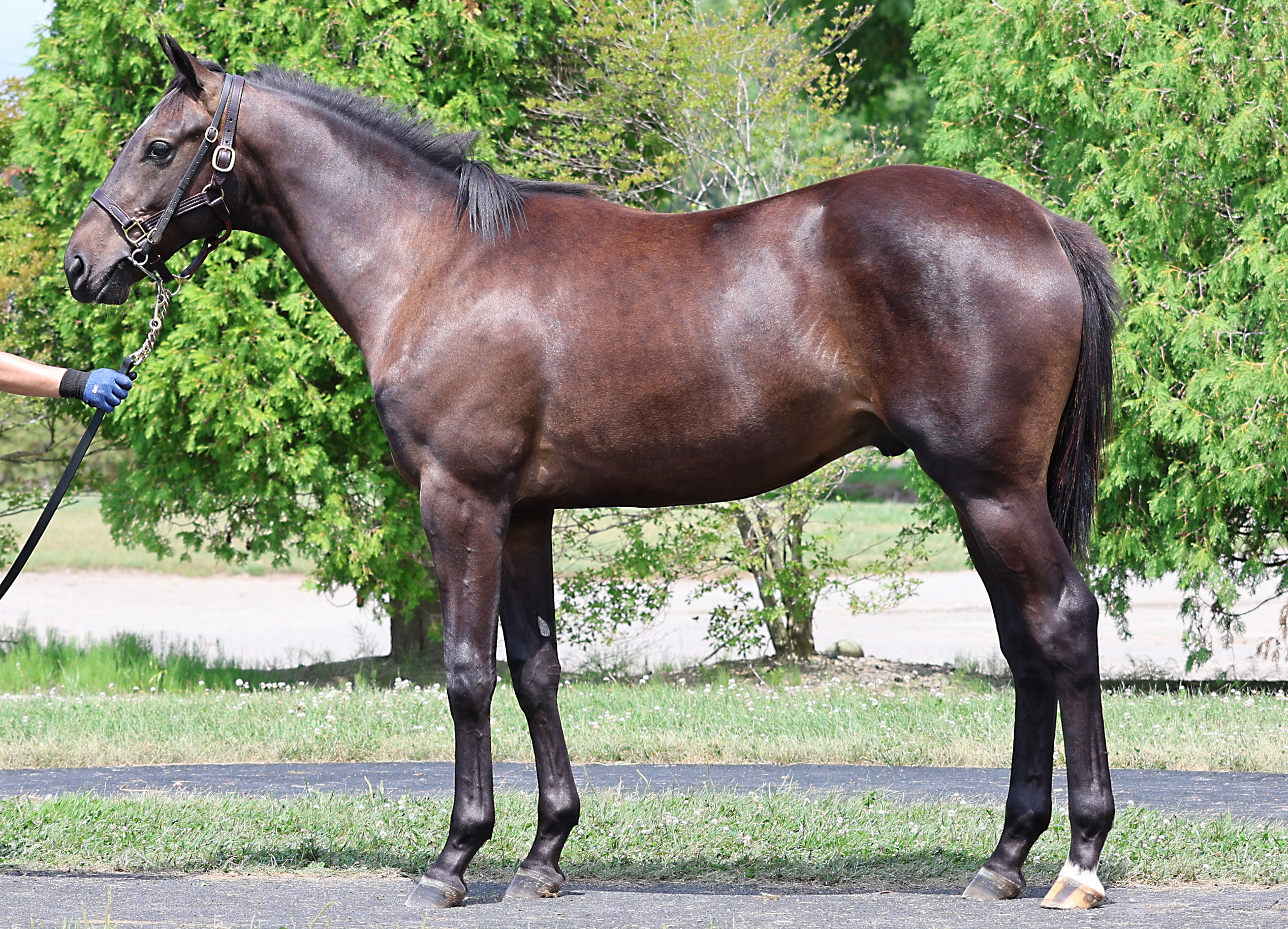 アペラシオン2024