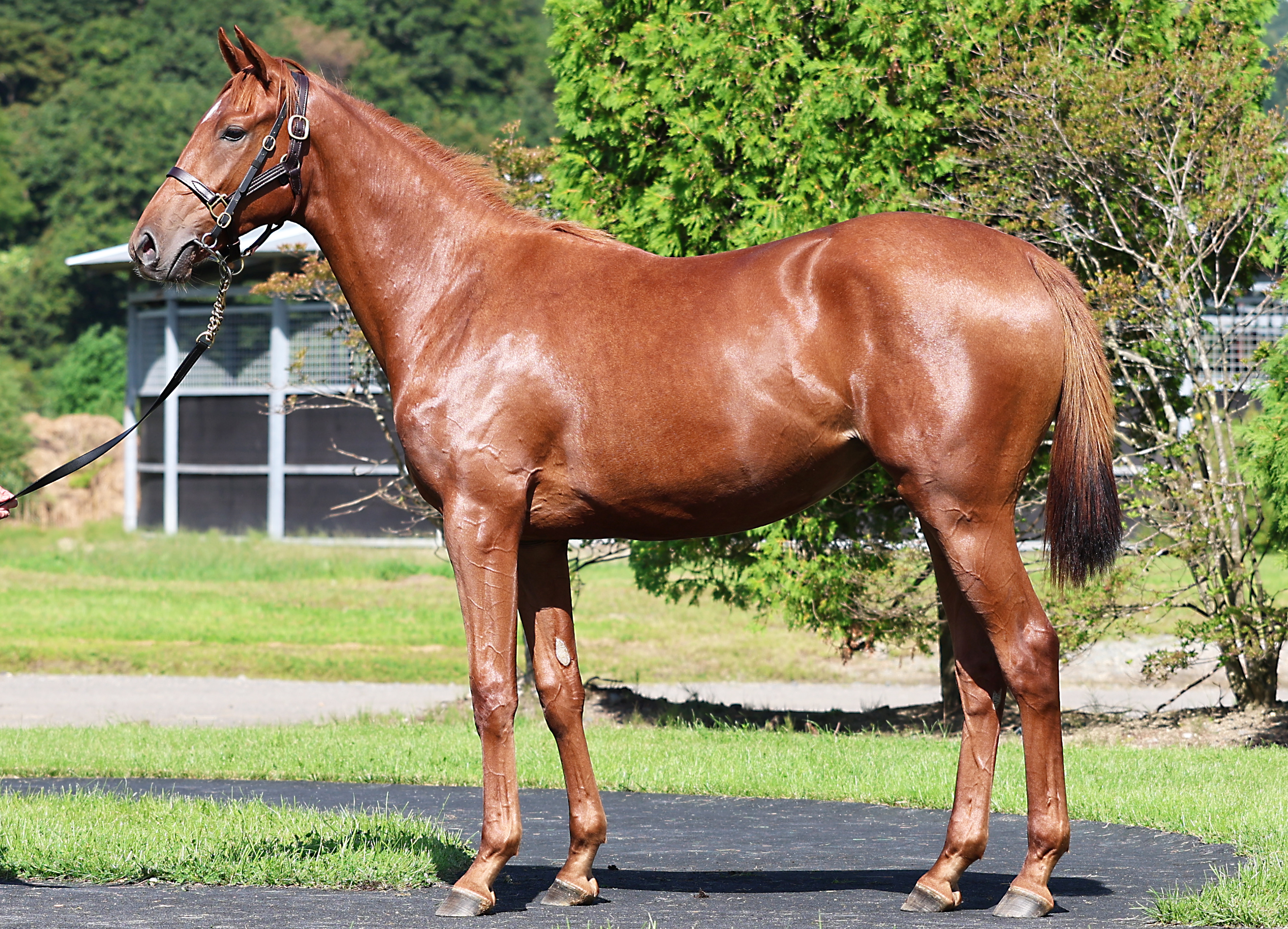 カヒリ２０２４