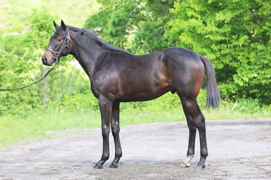 ヤマカツマリリン2023