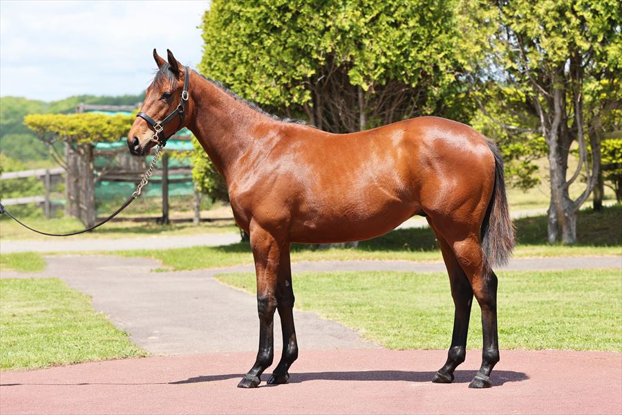 ファナティック2023