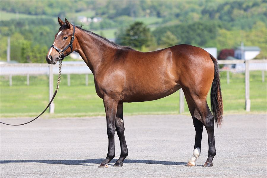 ユキノクイーン2023