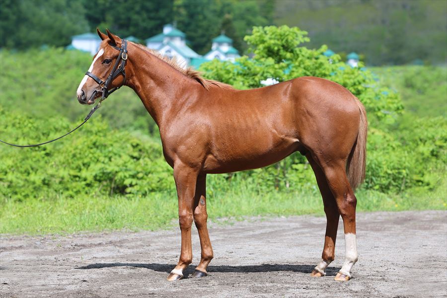 グラスルノン2023