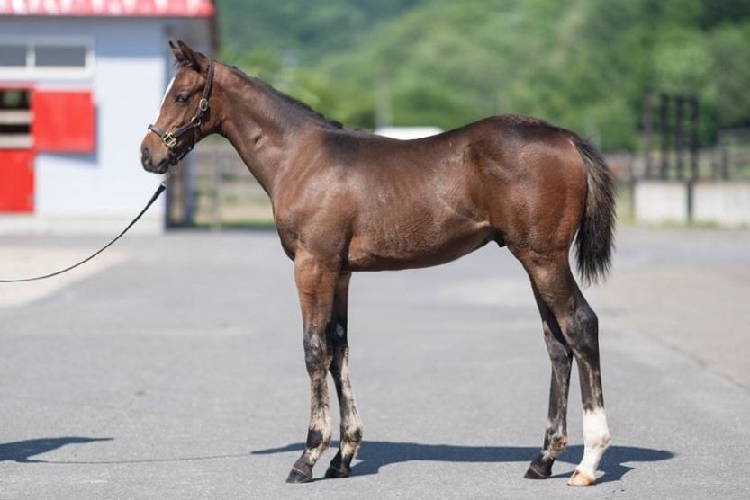 サンドクイーンの2024