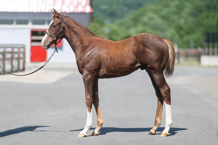 アスカビレンの2024