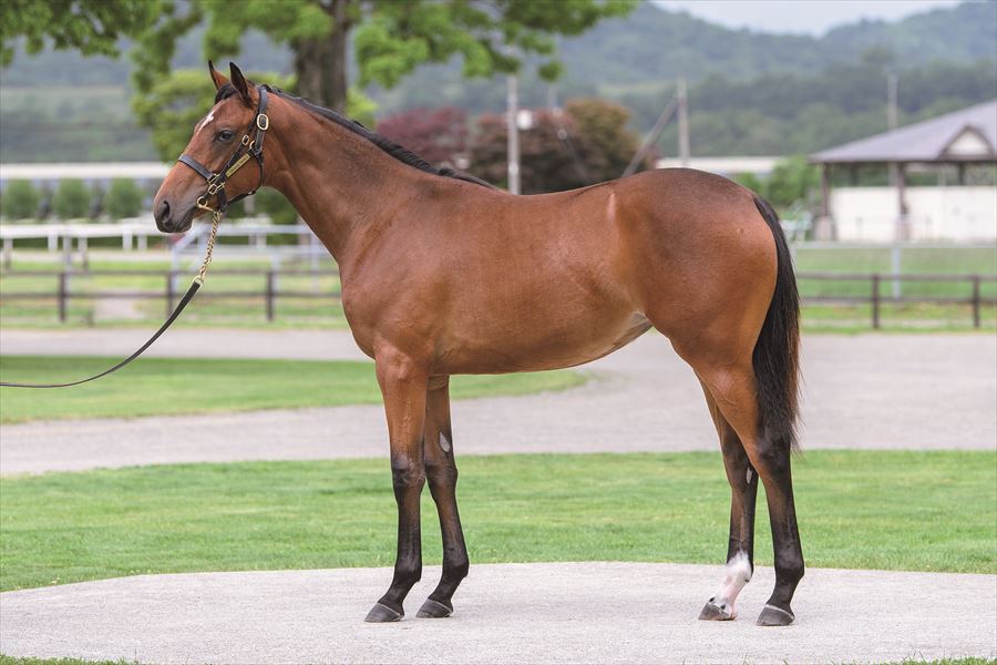 スターペスミツコの2023