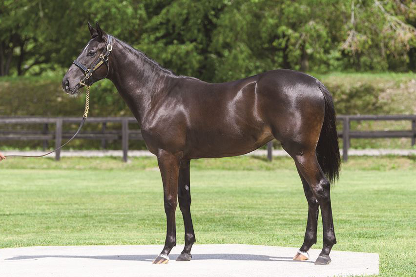 スイートハート2023