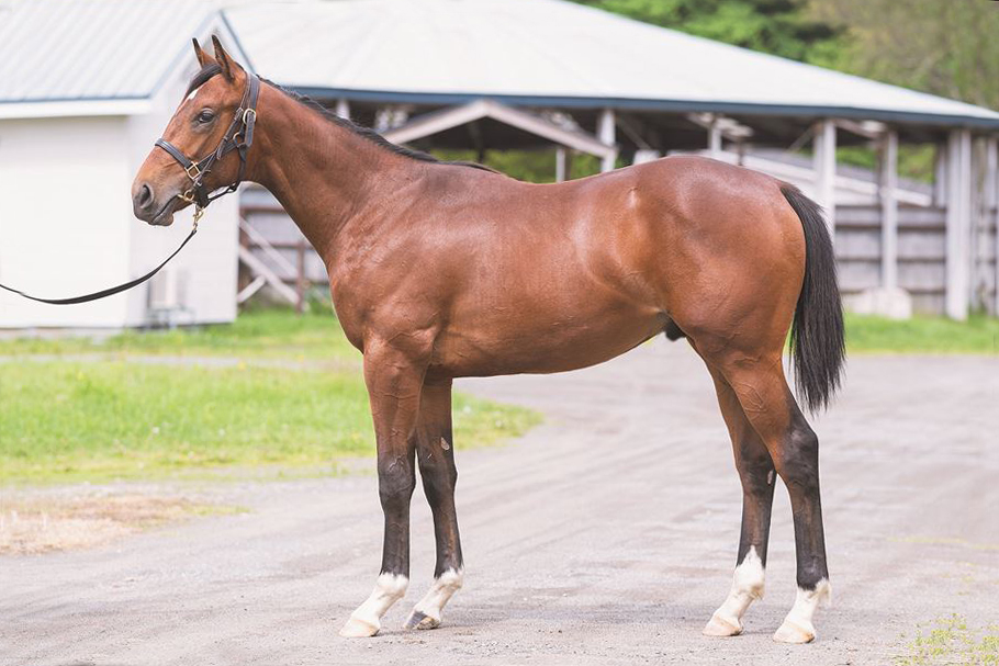 ミステールヴェール2023