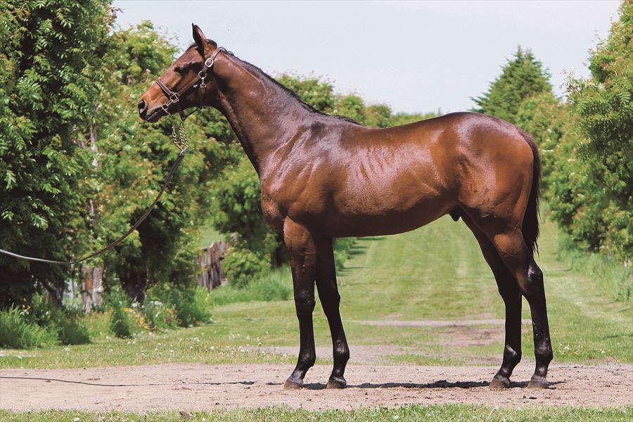 レインボーラヴラヴ2023