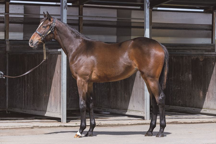 ヴォレダンルシエル2023