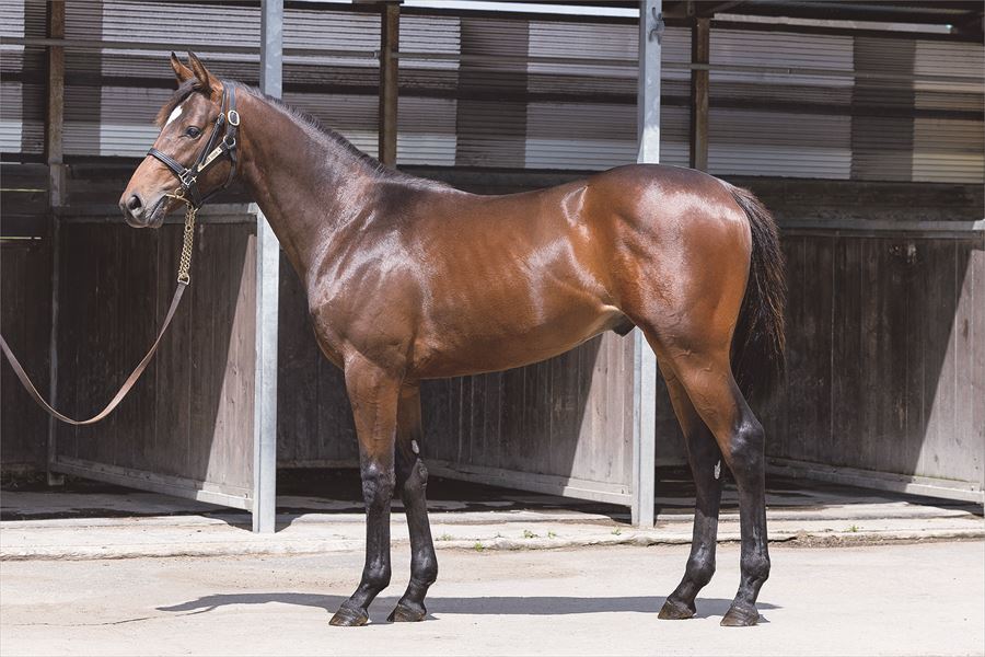 キーウエスト2023