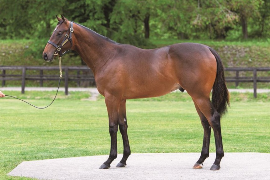 ベストファッション2023