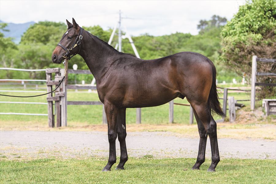 スヴァラッシー2023