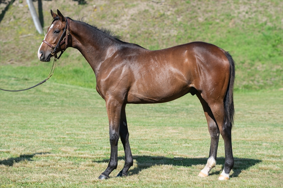 スズカプリズム2023