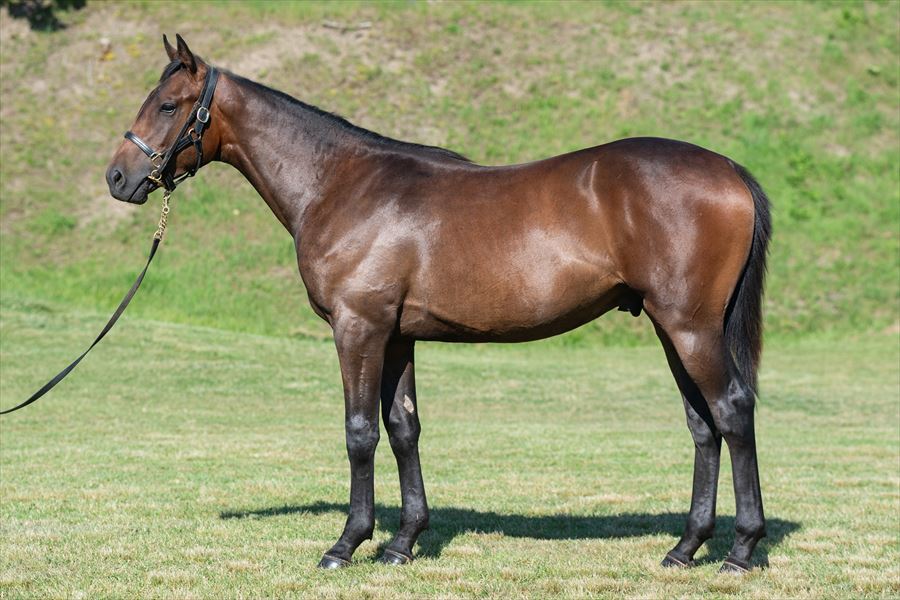 ハッピージュエル2023