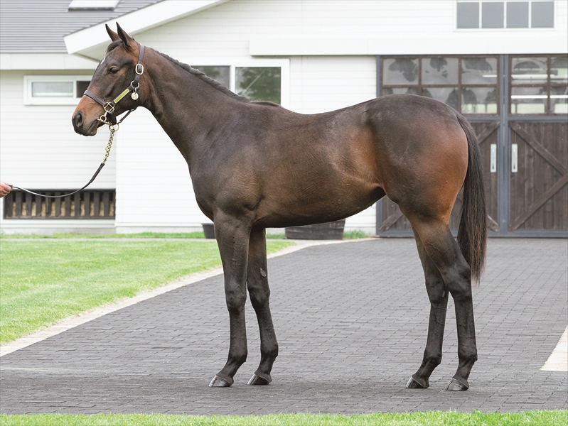 ムーンザムーン2024