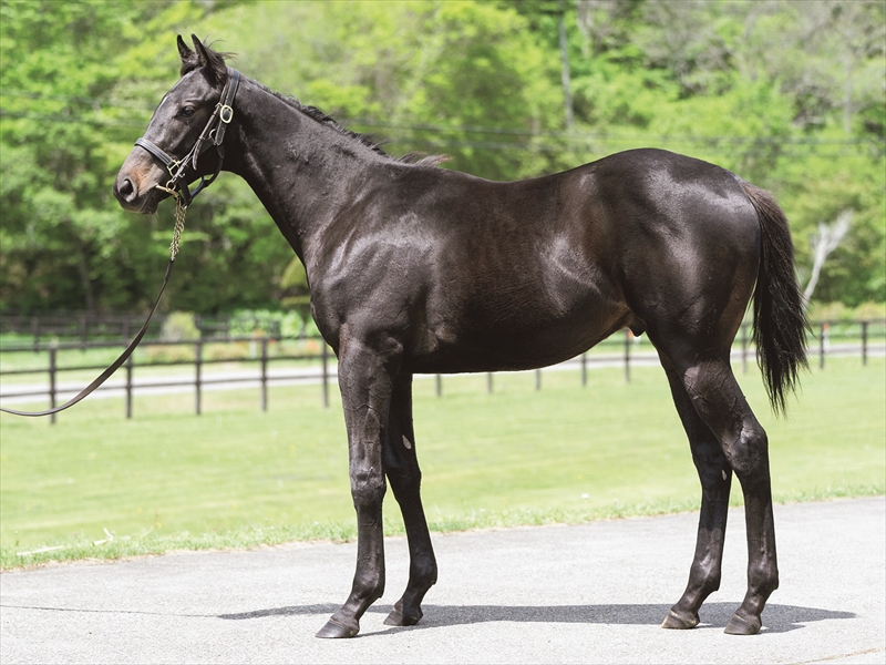 トーコーユズキ2024