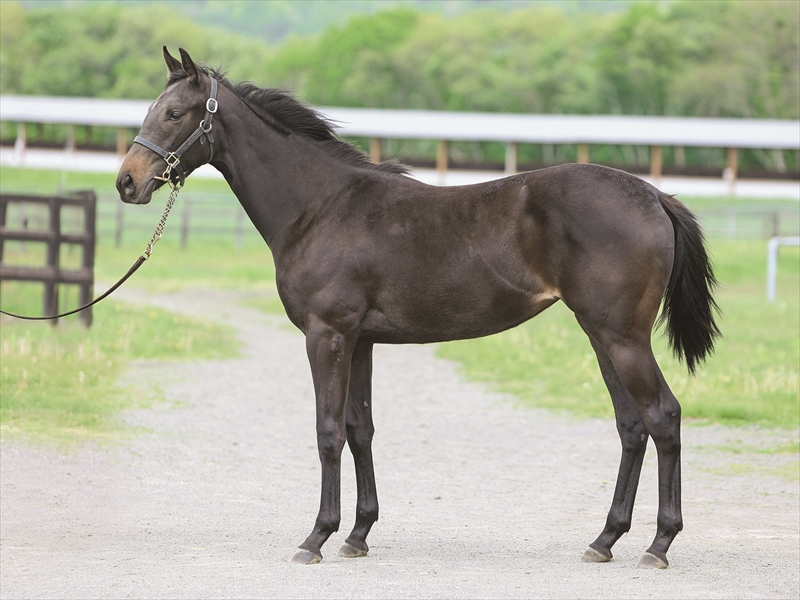 フェットデメール2024