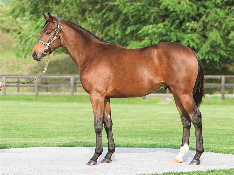 キムケンドリーム2024