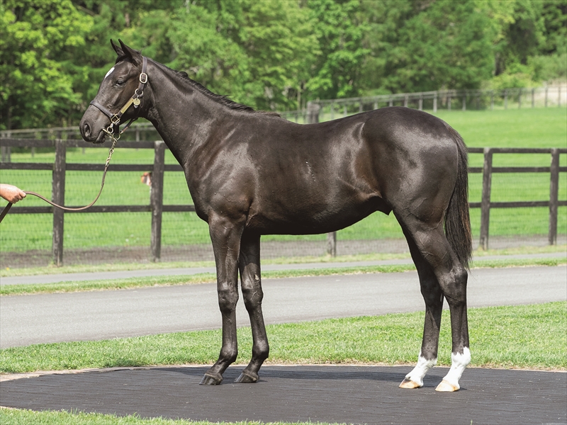 クイーンマンボ2024