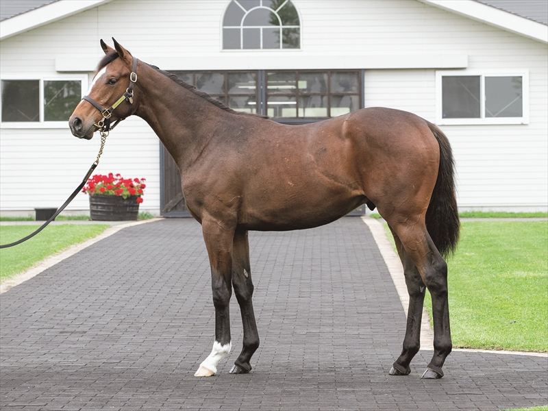 ウェイトゥヴェルサイユ2024