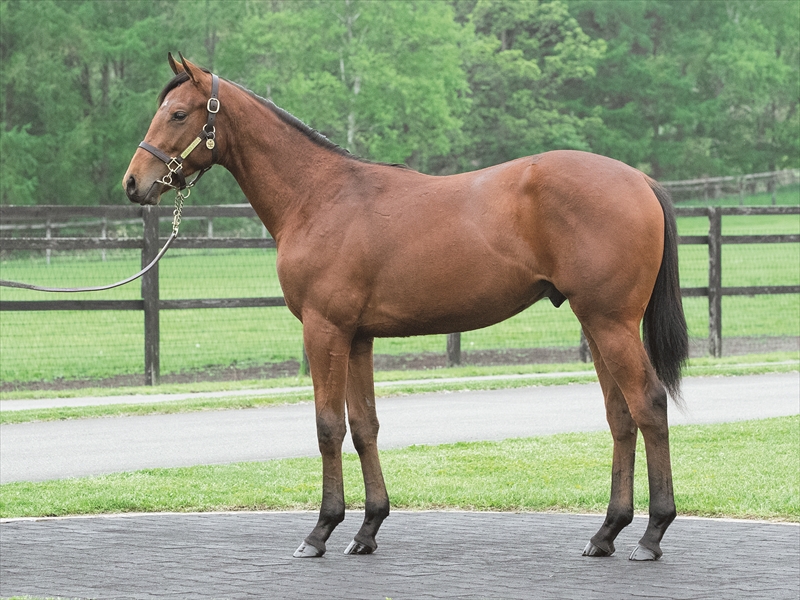 ポルヴォラーダ2024