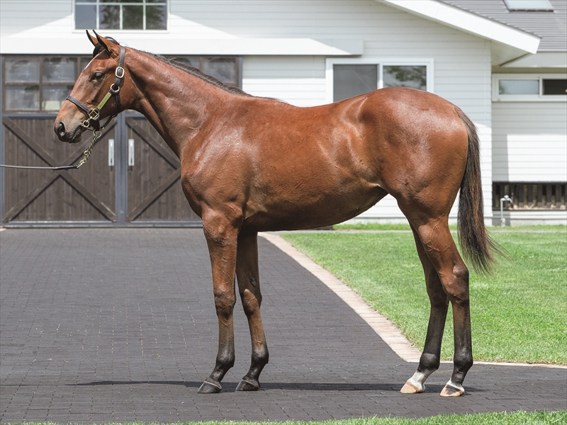 プリモダルク2024