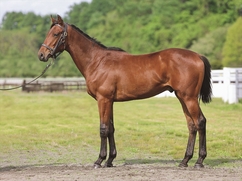 フォースデラネイチャー2024