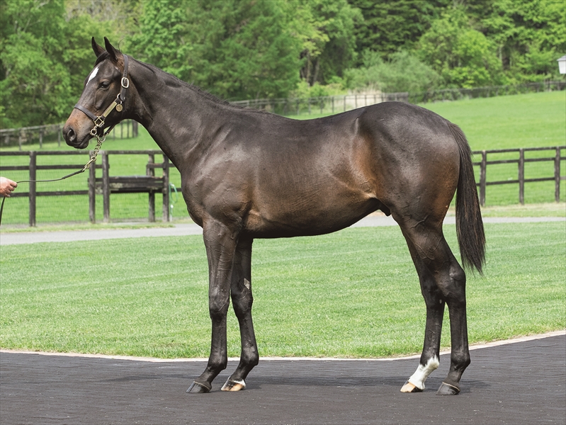 アップトゥユー2024