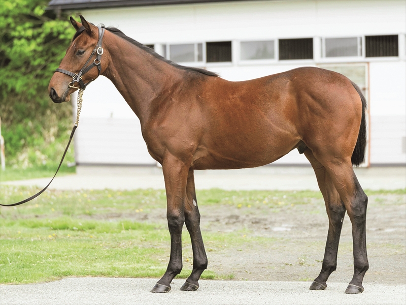 ハートフルデイズ2024