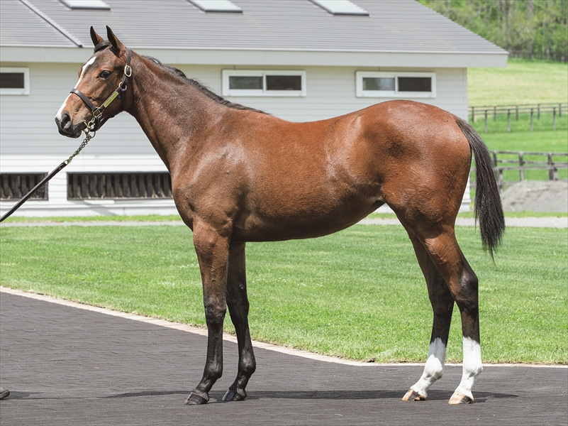 ダンスウィズジョイ2024