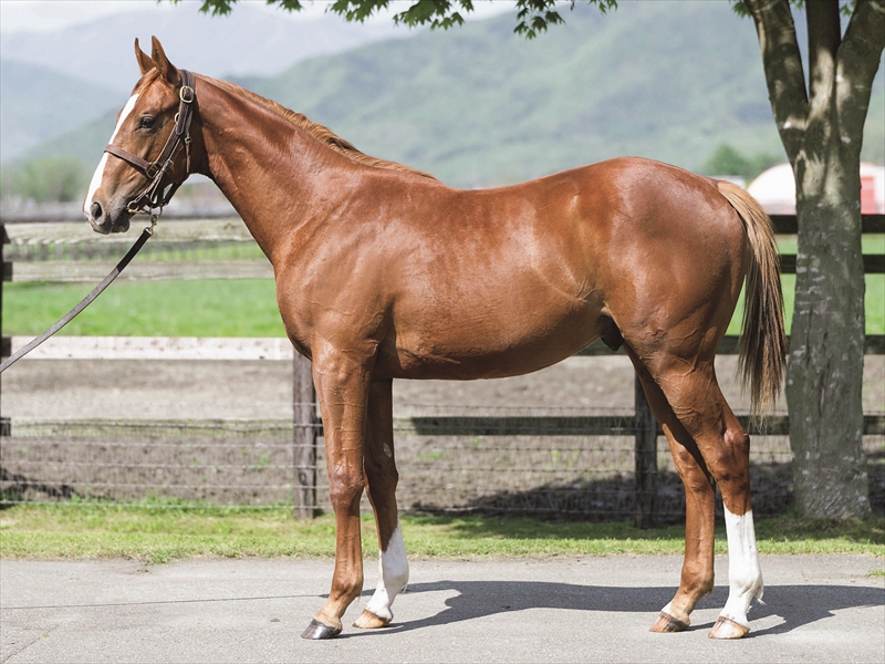 アルーリングハート2024