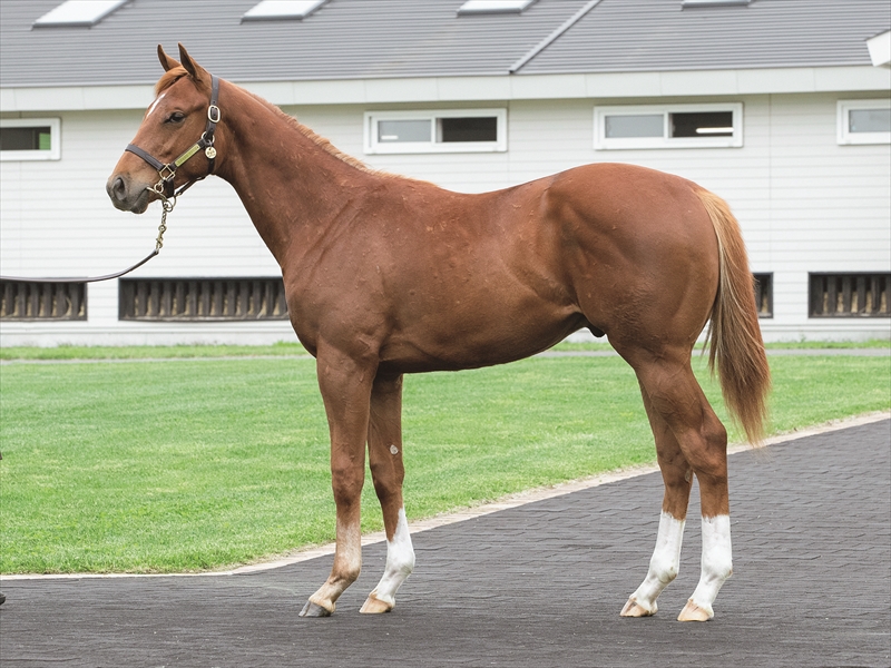 ブライスガウ2024