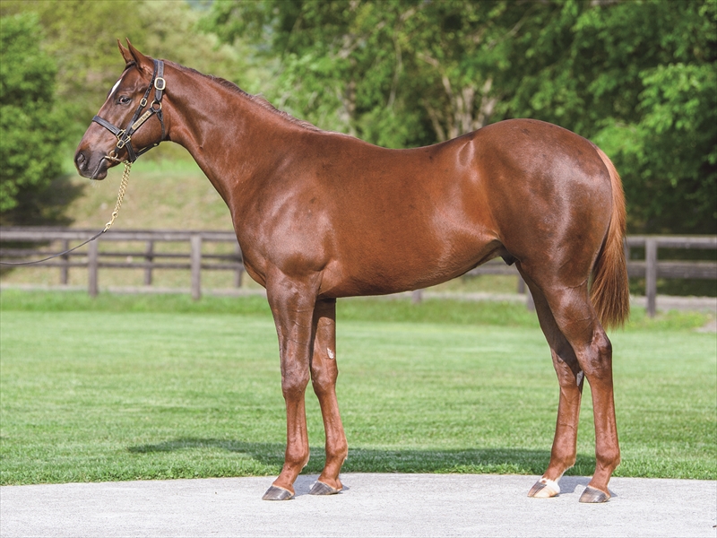 ヒラボクスペシャル2024