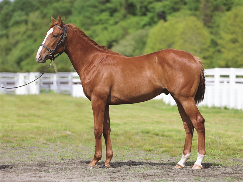 プレイフォーマザー2024