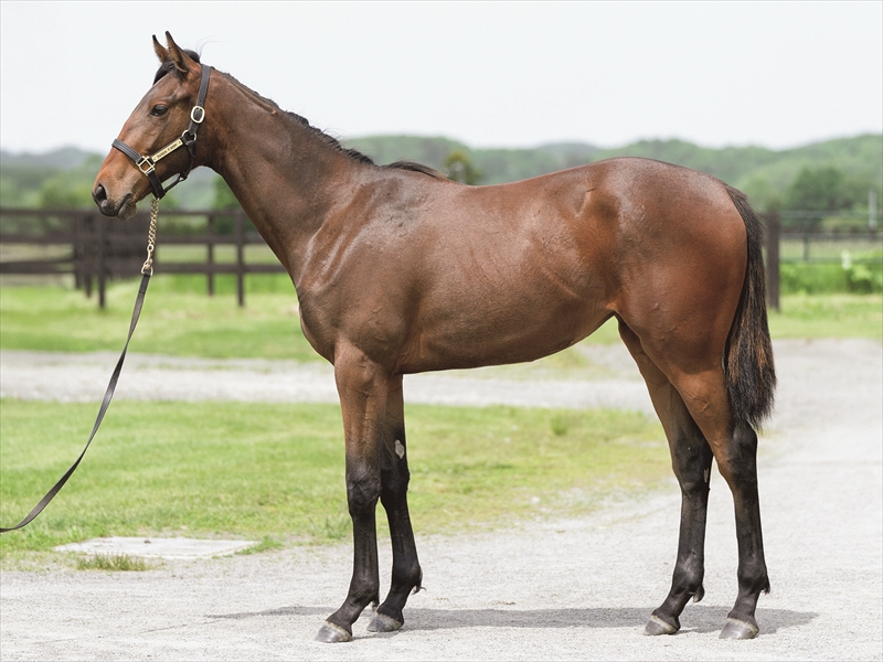 トクラットリバー2024