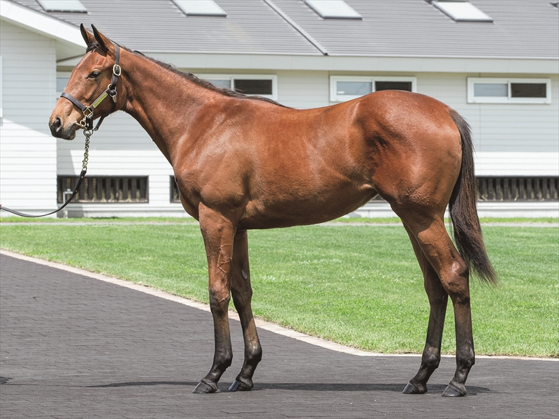 ゴールドチェイス2024