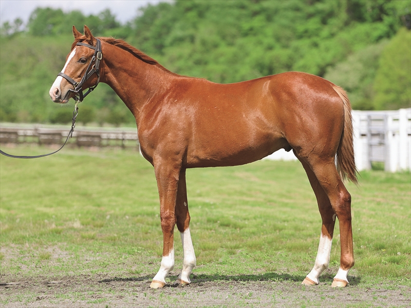 アートオブビーン2024