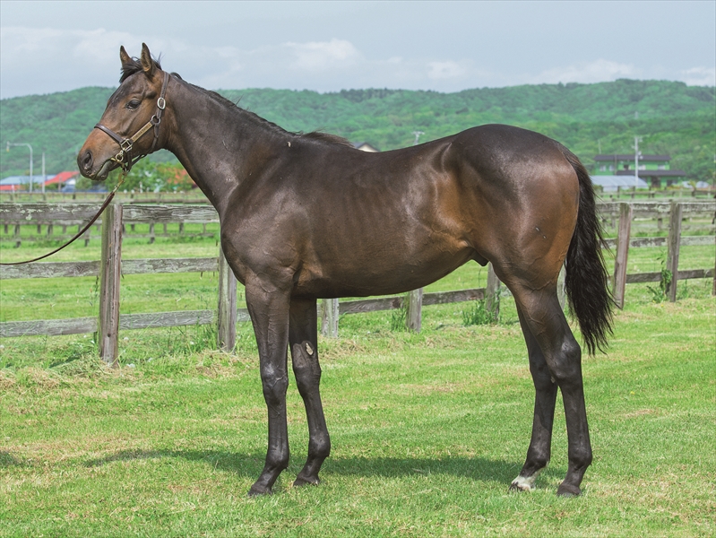 チャプレット2024