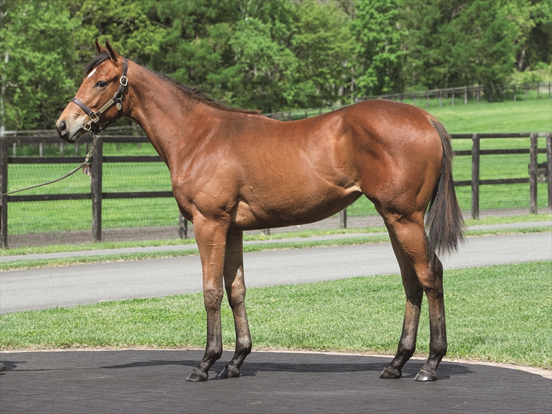 ボンオムトゥック2024