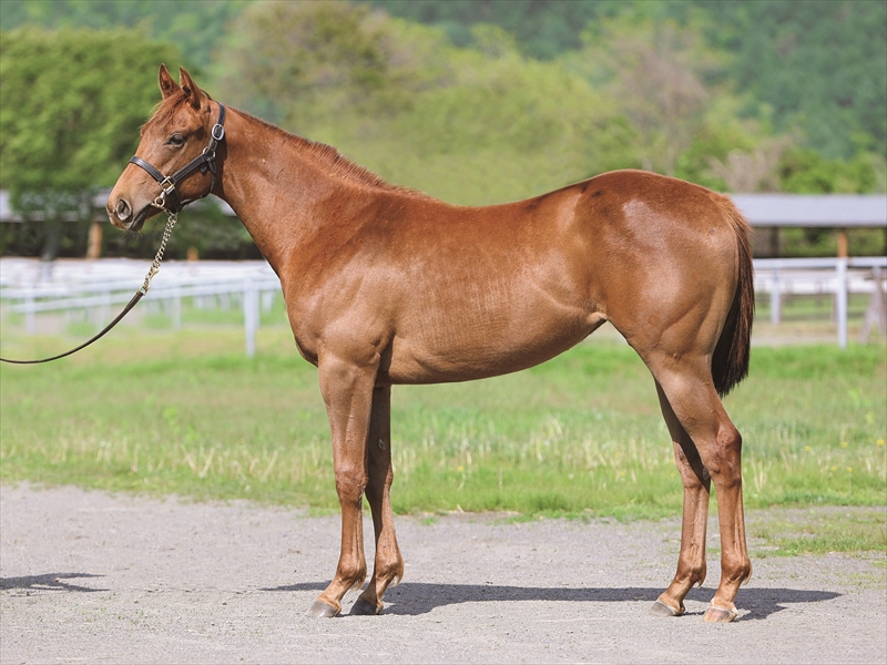 センセーション2024