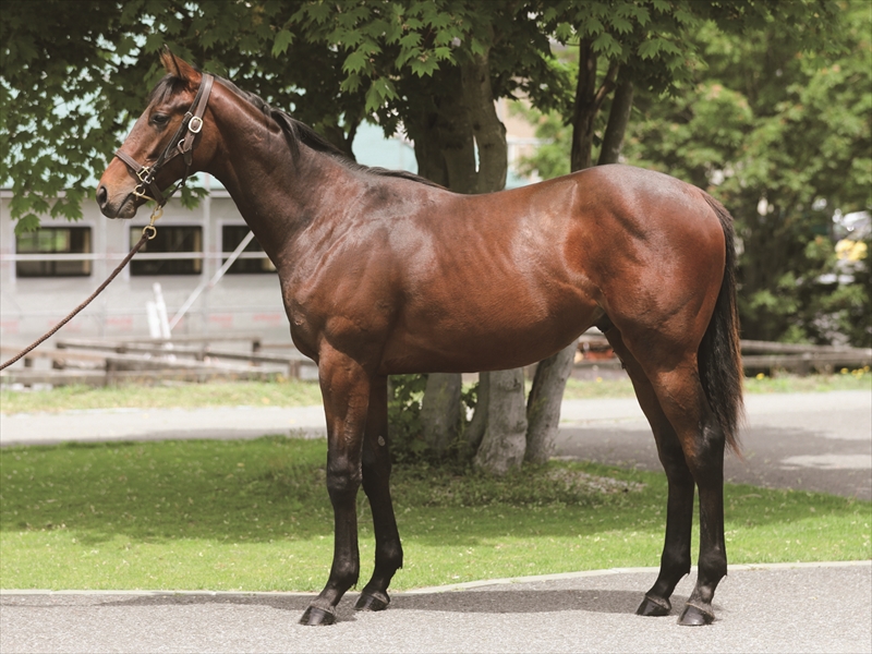 ウインアルエット2024