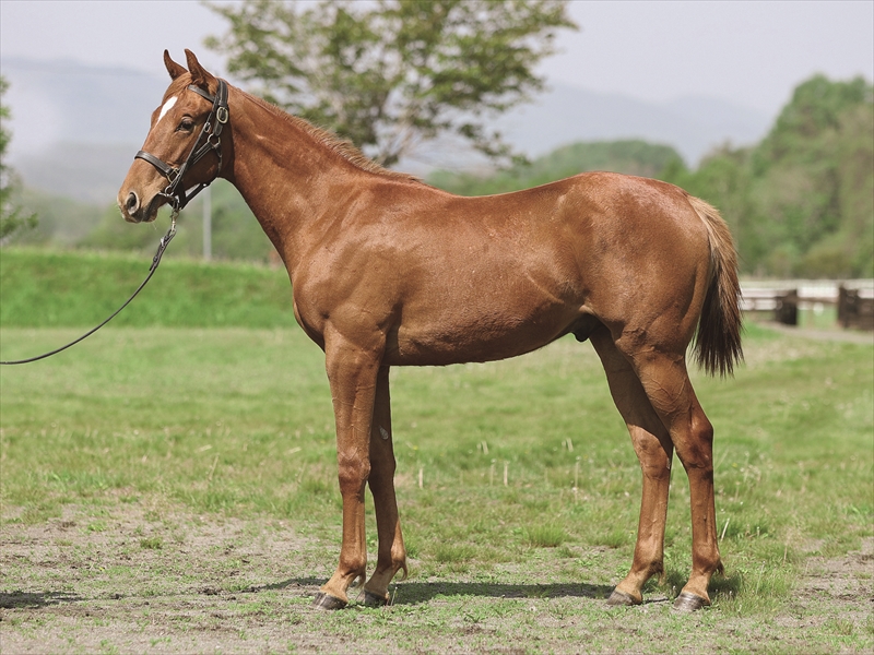 シティウェルズ2024