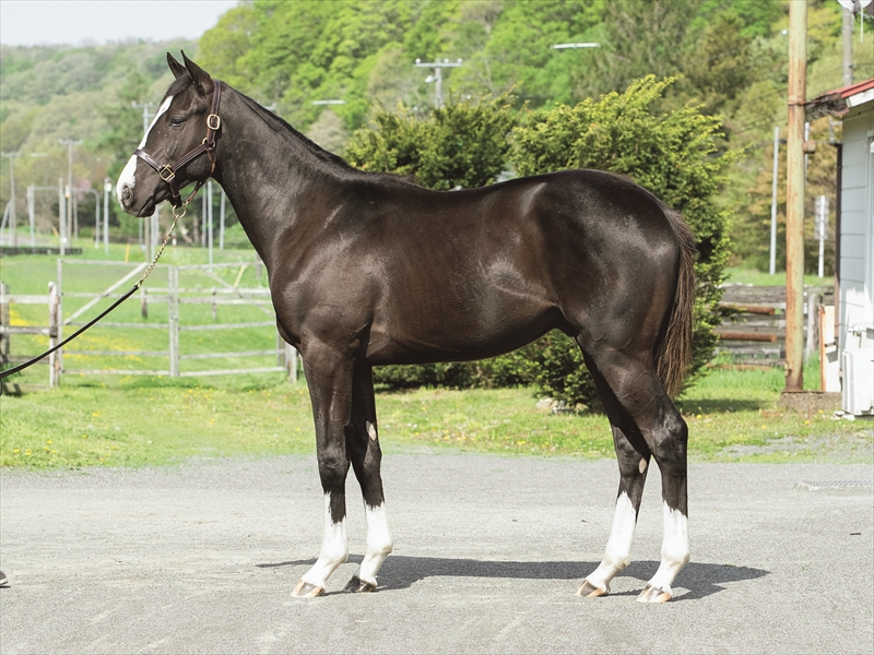 エイジアンウインズ2024