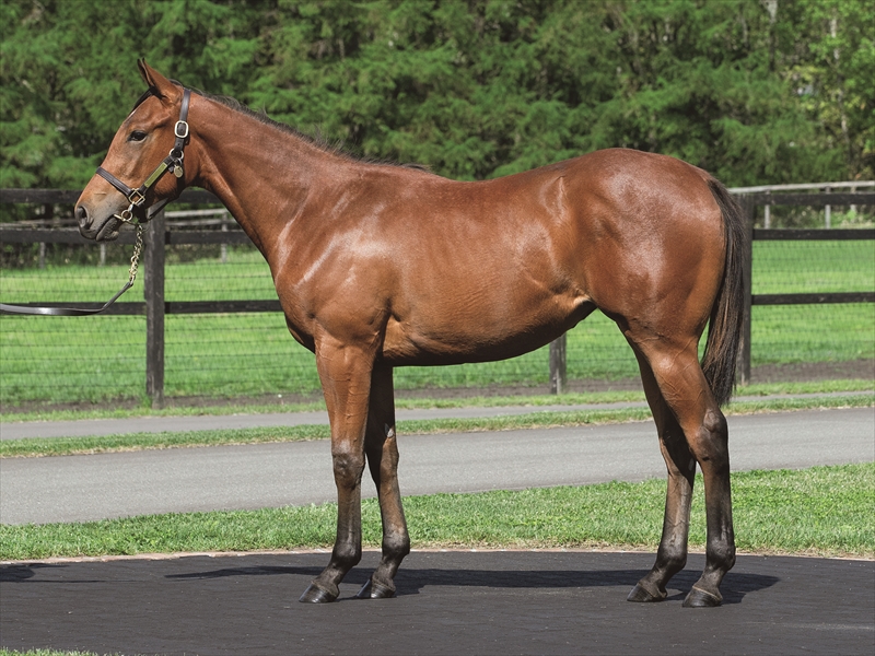 リュヌルージュ2024