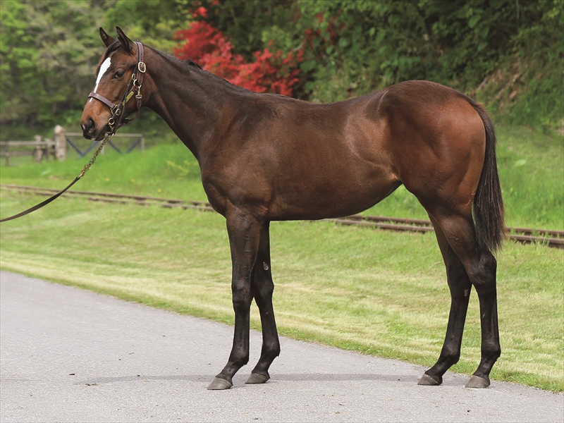 リビングマイライフ2024