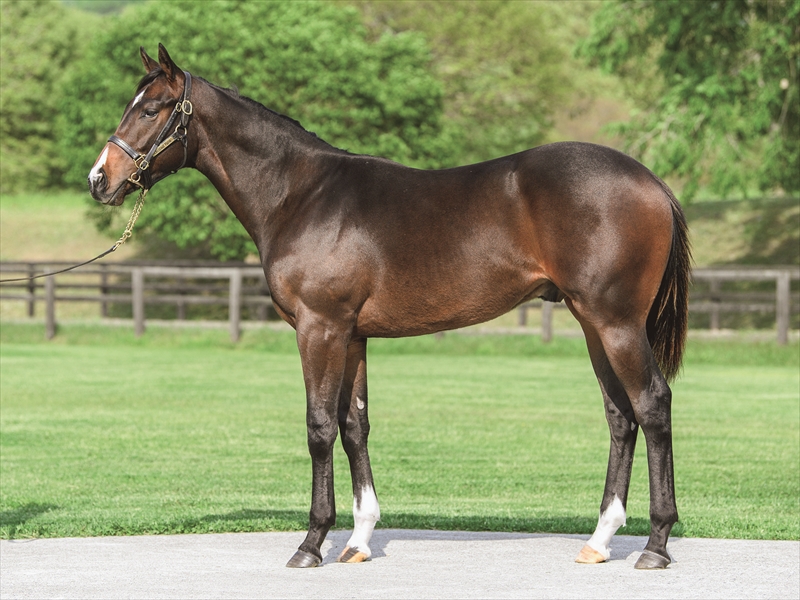 ルソンデュレーヴ2024